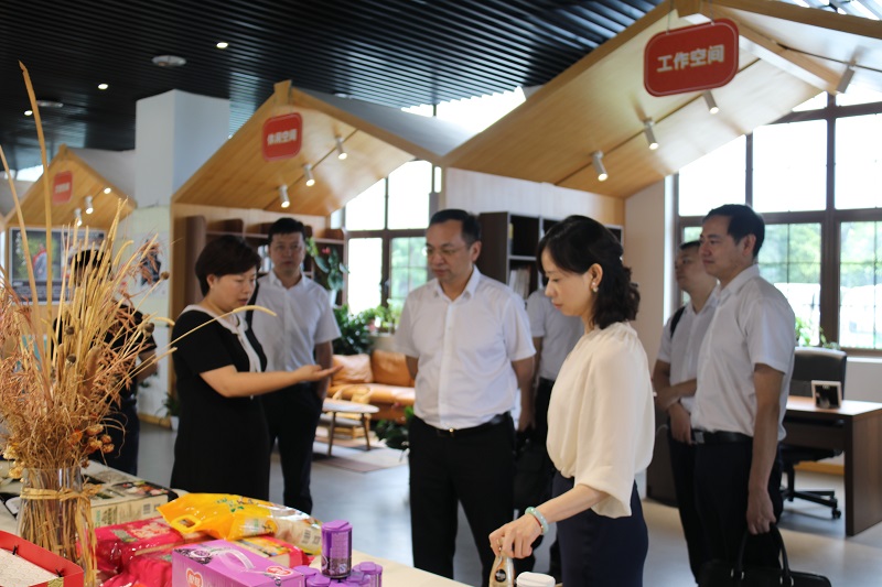 公司董事长带队赴新津调研交流