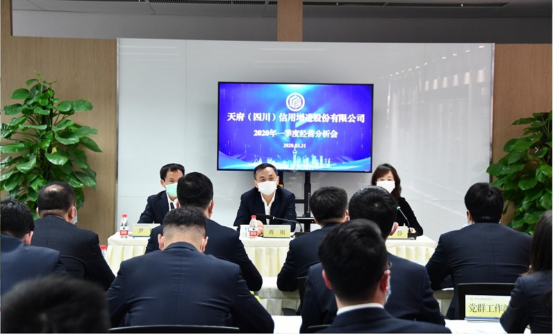 公司召开1季度分析会